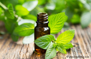 Murfreesboro peppermint pain relieving benefits