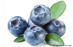 Murfreesboro chiropractic and nutritious blueberries